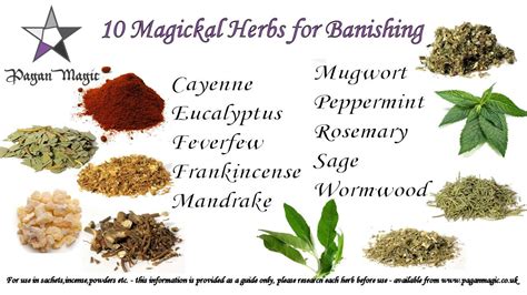 Herbs for warding off negative energy in wicca